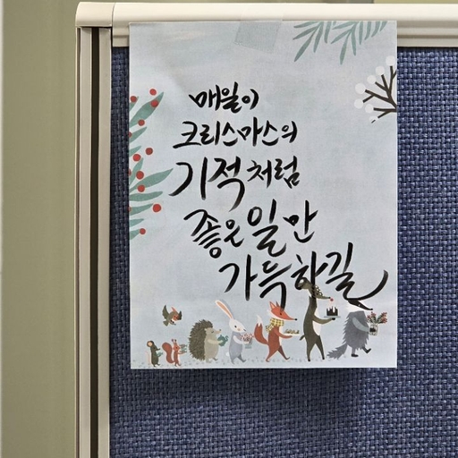 피드 이미지