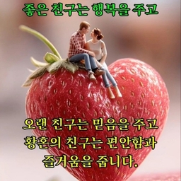 피드에 업로드 된 이미지