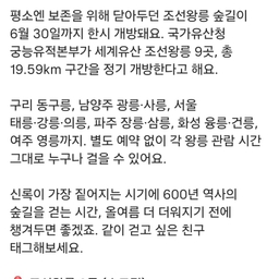 피드에 업로드 된 이미지