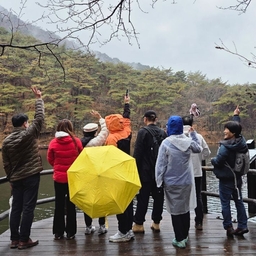 피드에 업로드 된 이미지