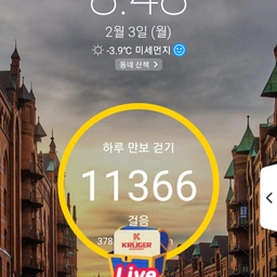 피드에 업로드 된 이미지