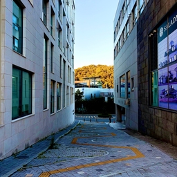 피드에 업로드 된 이미지