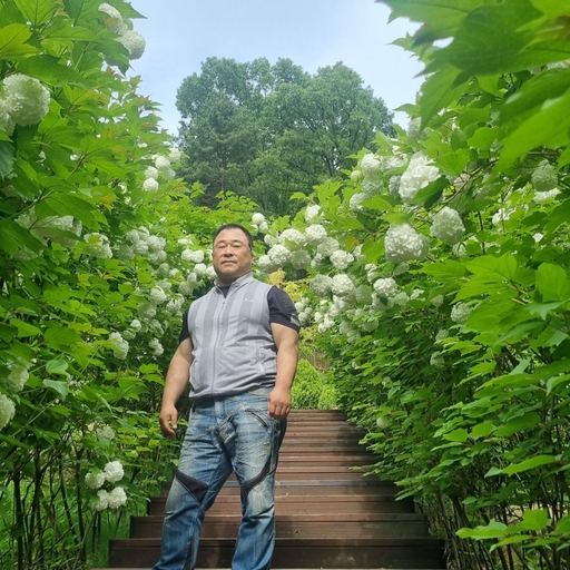 피드 이미지