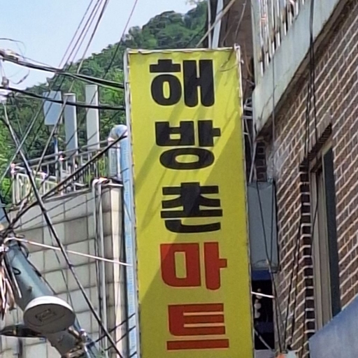 피드 이미지