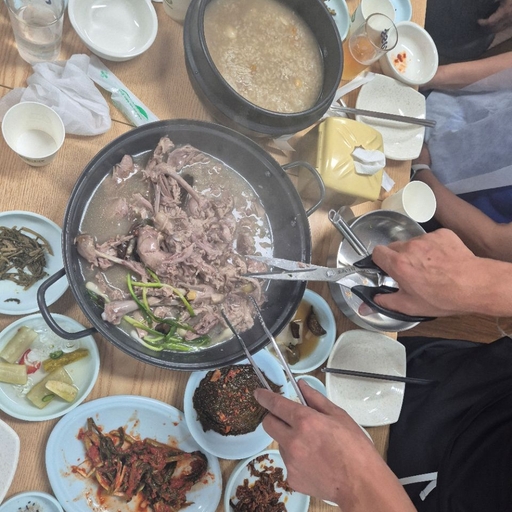 피드 이미지