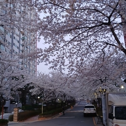 피드에 업로드 된 이미지