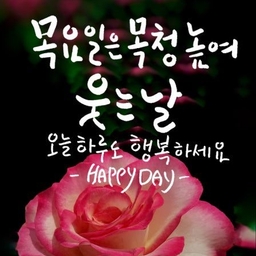 피드에 업로드 된 이미지