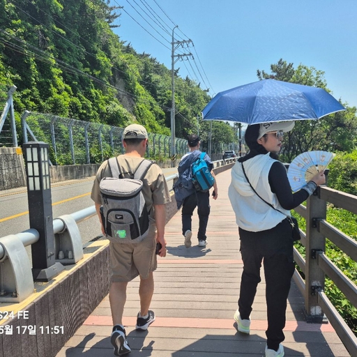 피드 이미지