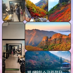 피드에 업로드 된 이미지