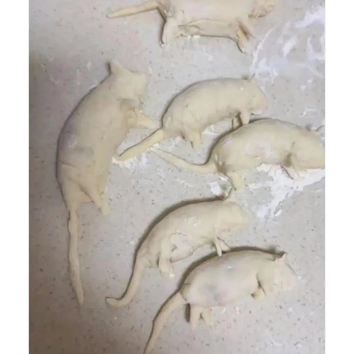 피드 이미지
