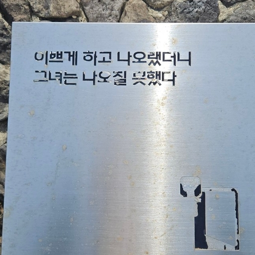 피드 이미지