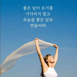 피드에 업로드 된 이미지