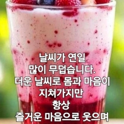 피드에 업로드 된 이미지