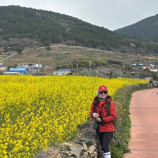 피드 이미지