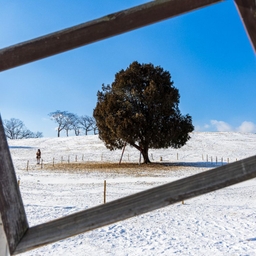 피드에 업로드 된 이미지
