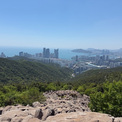 피드 이미지