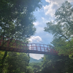 피드에 업로드 된 이미지