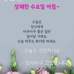 피드에 업로드 된 이미지