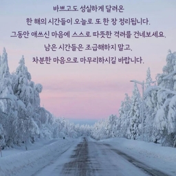 피드에 업로드 된 이미지