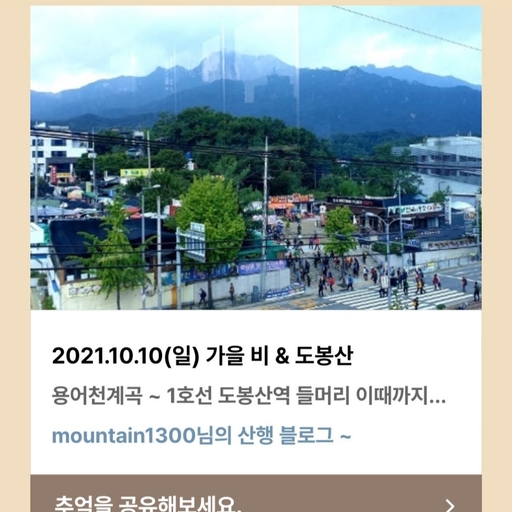피드 이미지