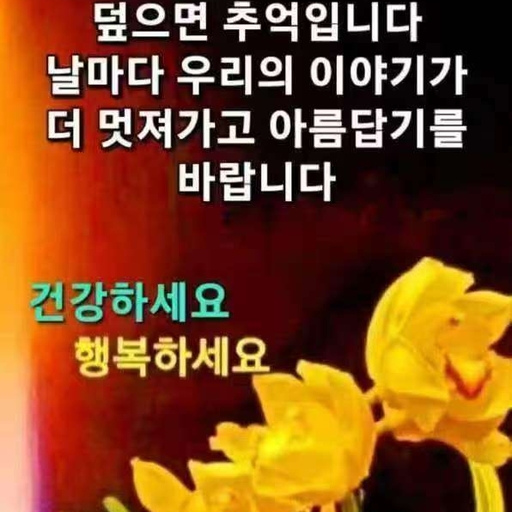 피드 이미지