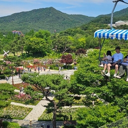 피드에 업로드 된 이미지