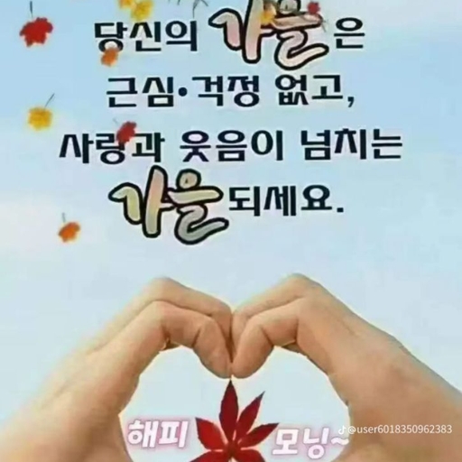 피드 이미지