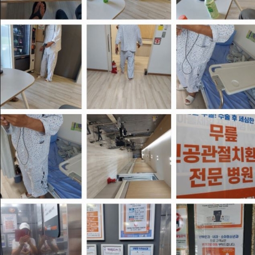 피드 이미지