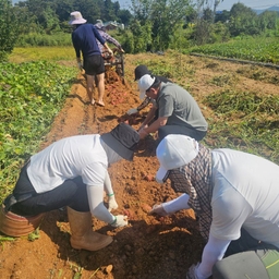 피드에 업로드 된 이미지