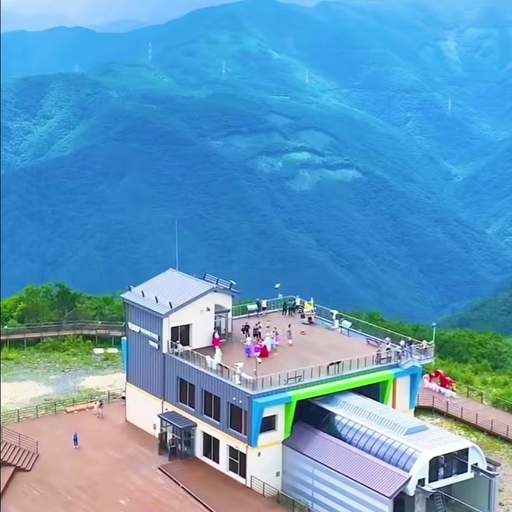 피드 이미지