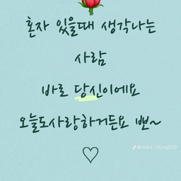 피드에 업로드 된 이미지