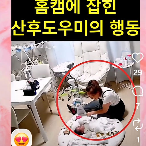 피드 이미지