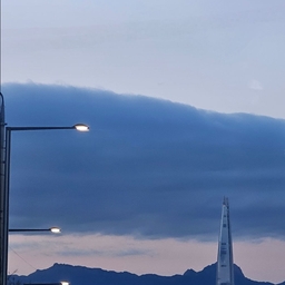 피드에 업로드 된 이미지