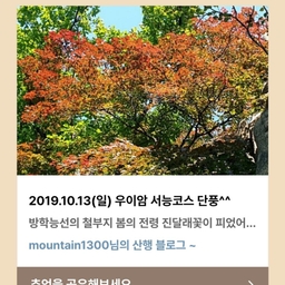 피드에 업로드 된 이미지