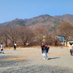 피드에 업로드 된 이미지