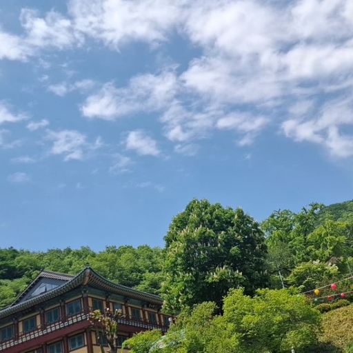 피드 이미지