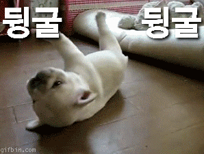 멤버 프로필