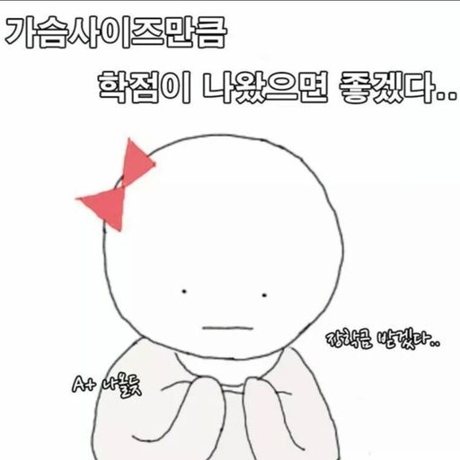 피드 이미지