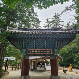 피드에 업로드 된 이미지