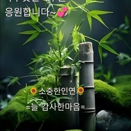 피드에 업로드 된 이미지