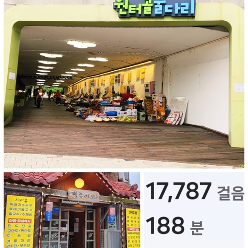 피드 이미지
