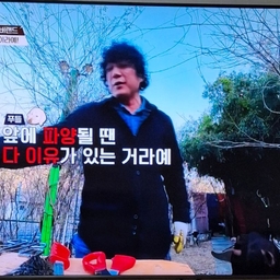 피드에 업로드 된 이미지