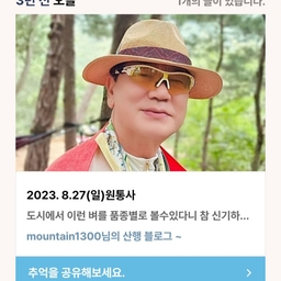 피드에 업로드 된 이미지