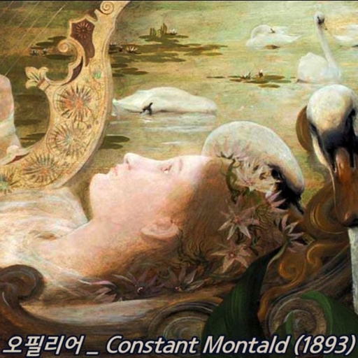 피드 이미지