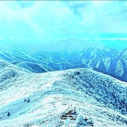 피드에 업로드 된 이미지