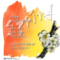 피드에 업로드 된 이미지