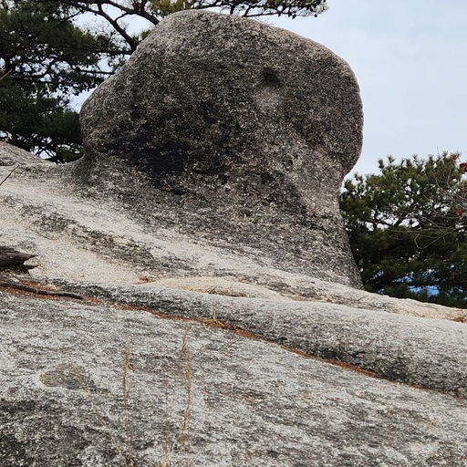 피드 이미지