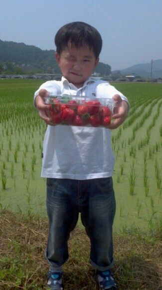 피드에 업로드 된 이미지