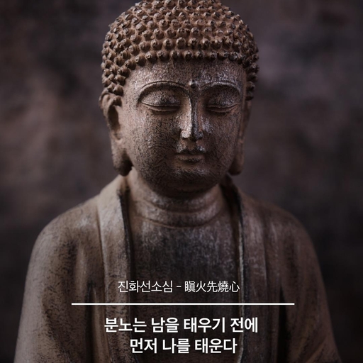 피드 이미지