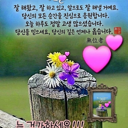 피드 이미지
